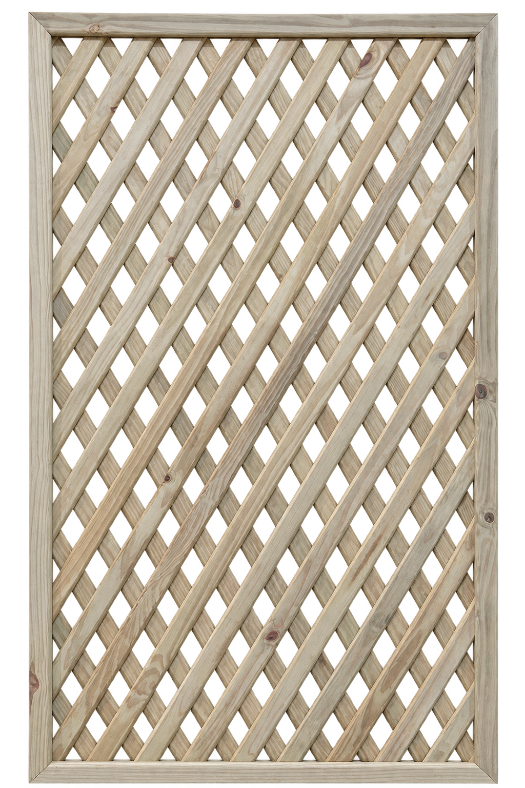 Treliça Pinus Tratado